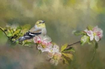 Goldfinch In The Garden | Obraz na stenu
