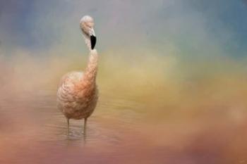 Flamingo Friday | Obraz na stenu