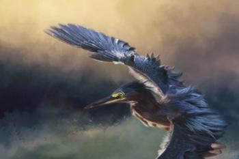 Flight Of The Green Heron 2 | Obraz na stenu