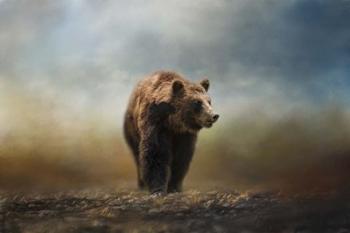 Grizzly On The Rocks | Obraz na stenu