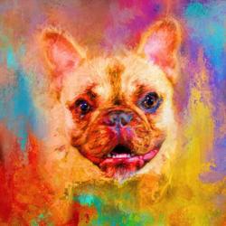 Jazzy French Bulldog | Obraz na stenu