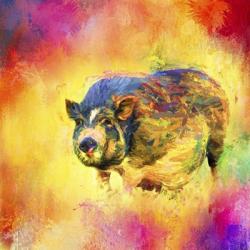 Jazzy Pig | Obraz na stenu