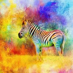 Jazzy Zebra | Obraz na stenu