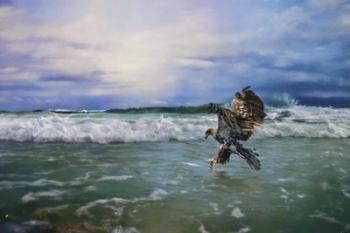 Juvenile Eagle At Sea | Obraz na stenu