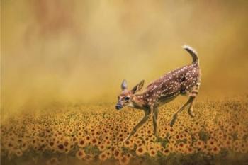 Romping In The Sunflower Field | Obraz na stenu