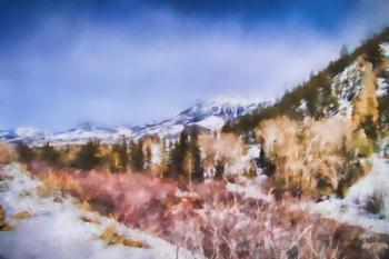 Winter Beginnings In Colorado | Obraz na stenu