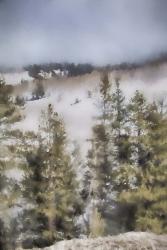 Winter Impressions In Colorado 3 | Obraz na stenu