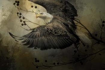 Eagle Rising | Obraz na stenu