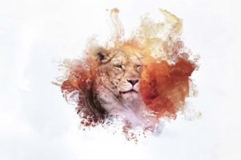 Expressions Lion 2 | Obraz na stenu