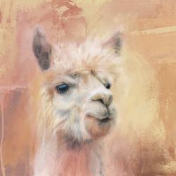 The Charismatic Alpaca | Obraz na stenu