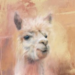The Charismatic Alpaca | Obraz na stenu