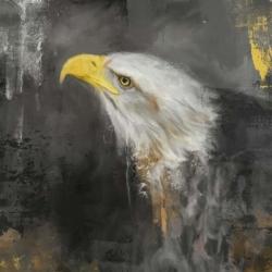 The Mighty Bald Eagle | Obraz na stenu