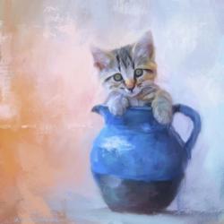 A Pitcher Full of Purrfection | Obraz na stenu