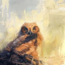 Owlet By The Beach | Obraz na stenu
