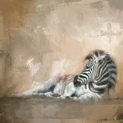 Zebra At Rest | Obraz na stenu