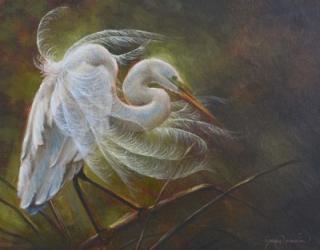 Great Egret | Obraz na stenu
