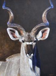 Greater Kudu | Obraz na stenu