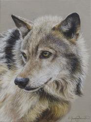 Portrait of a Wolf | Obraz na stenu