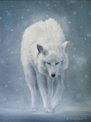 The White Wolf | Obraz na stenu