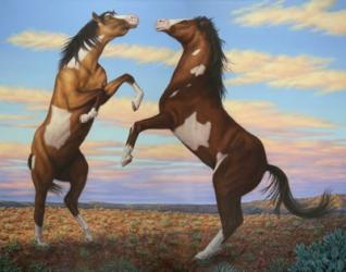 Boxing Horses | Obraz na stenu