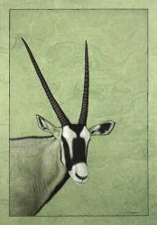 Gemsbok | Obraz na stenu