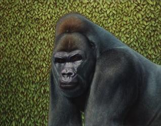 Gorilla With A Hedge | Obraz na stenu