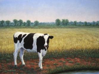 Happy Holstein | Obraz na stenu
