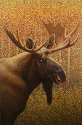Moose | Obraz na stenu