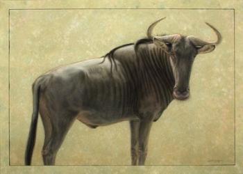 Wildebeest | Obraz na stenu