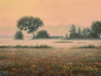 Misty Morning | Obraz na stenu