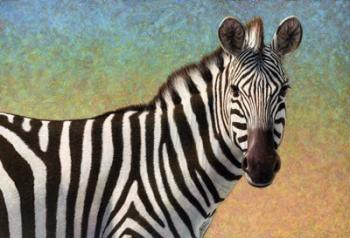 Portrait Of A Zebra | Obraz na stenu