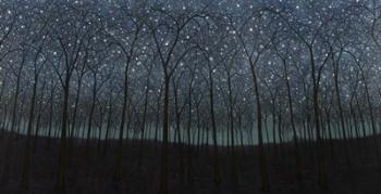 Starry Trees | Obraz na stenu