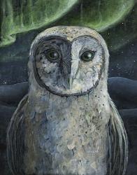 Barn Owl II | Obraz na stenu