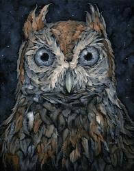 Screech Owl | Obraz na stenu