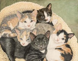 Gracie's Kittens | Obraz na stenu