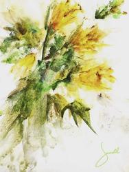 Daffodils | Obraz na stenu