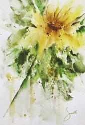 Sunflower | Obraz na stenu