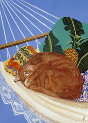 Catnapping In A Hammock | Obraz na stenu