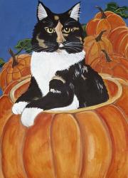 Matisse In A Pumpkin | Obraz na stenu