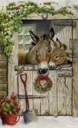 Christmas Donkies | Obraz na stenu