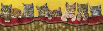 Eight Kittens In Basket | Obraz na stenu
