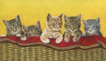 Five Kittens In Basket | Obraz na stenu