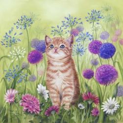 Ginger Kitten In Flowers | Obraz na stenu