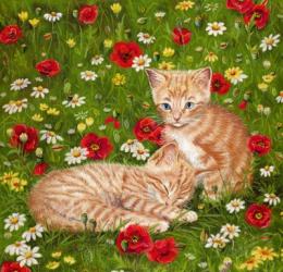 Ginger Kittens In Red Poppies | Obraz na stenu