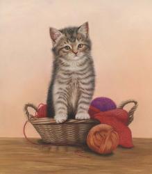 Kitten And Wool Basket | Obraz na stenu