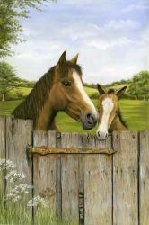 Mother And Foal | Obraz na stenu