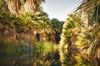 Palms Reflecting | Obraz na stenu