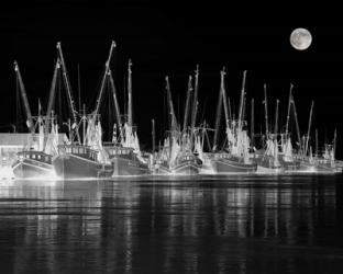 Shrimp Boats Asleep | Obraz na stenu