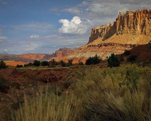 Capital Reef, UT | Obraz na stenu