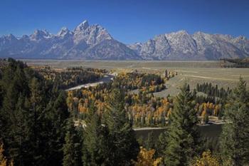 Tetons III | Obraz na stenu